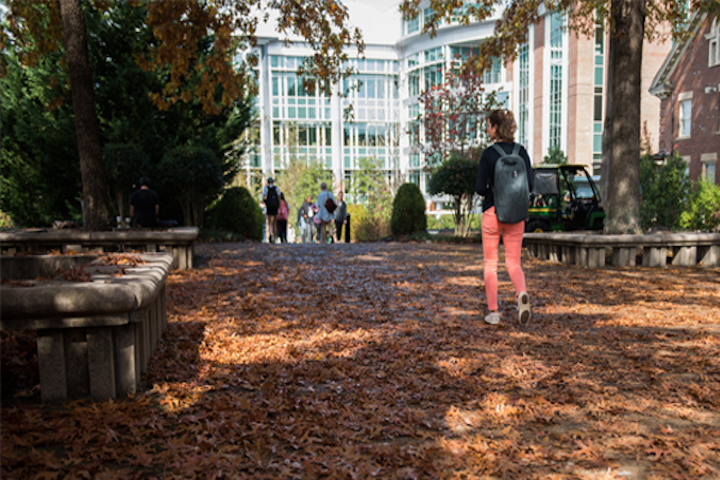 Student walking toward the library with leaves on the ground